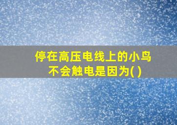 停在高压电线上的小鸟不会触电是因为( )